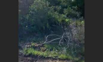 Imagem 5: Ilha comprida Terreno / lote com venda por R$16.500