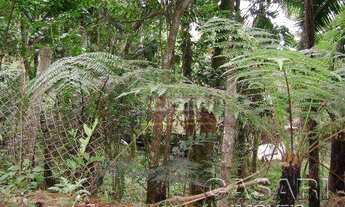 Imagem 2: Terreno Residencial à venda, Represa, Ribeirão Pires - TE3946