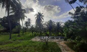 Imagem 3: TERRENO para vender na cidade de CAUCAIA-CE
