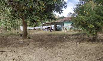 Imagem 3: Chácara com casa