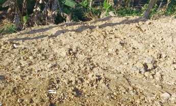 Imagem 5: Lote no centro de Antônio Carlos-SC