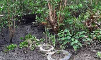 Imagem 4: Vendo fazenda em Nazaré das farinha