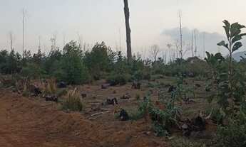 Imagem: Lotes a venda na região de Nazaré!!!