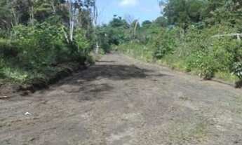 Imagem 5: Terreno Em Mosqueiro