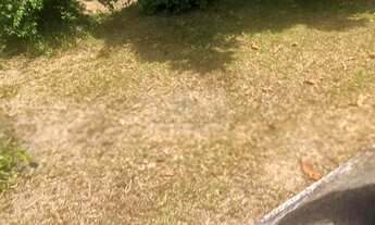 Imagem 4: Casa Aldeia Casa com 5 dormitórios