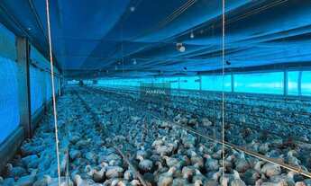 Imagem 3: Sítio, ITAPIRA, Itapira - R$ 4.5 mi, Cod