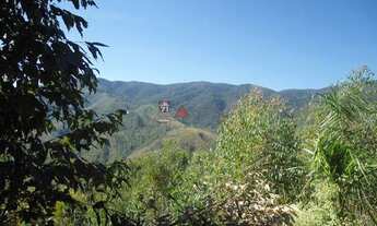 Imagem 5: Roseira - Terreno Padrão - Vargem Grande