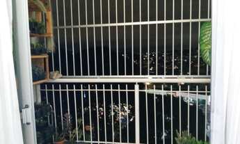 Imagem 3: BELO HORIZONTE - Padrão - Betânia