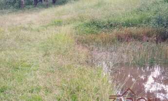 Imagem: Fazenda com casa sede e casa de caseiro