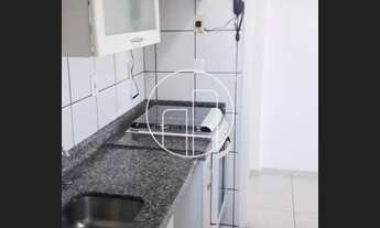 Imagem 6: Campinas - Apartamento Padrão - Chácara Primavera