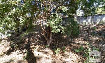 Imagem 4: Casa em condomínio à Venda - Ipê, 360 m²