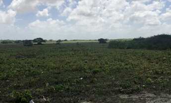 Imagem 2: Loteamento Lagoas Do Giral A 900 Metros Da Praia E A 2Km Do Centro De Paracuru... n°:44