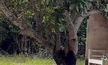 Imagem 3: Casa de campo ( condomínio