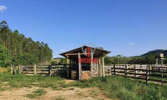 Imagem 5: Fazenda à venda 119 Alqueires por R$ 12.500.000 - Rural - Cândido de Abreu/Paraná