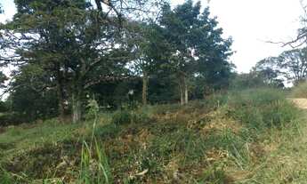 Imagem 2: Terrenos Rurais com muita natureza em Matozinhos/MG