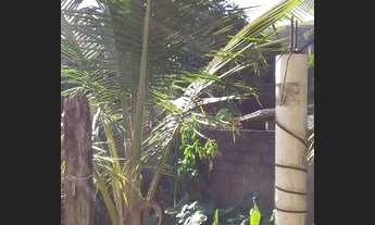 Imagem 4: Excelente Casa Cataguases semi-mobiliada