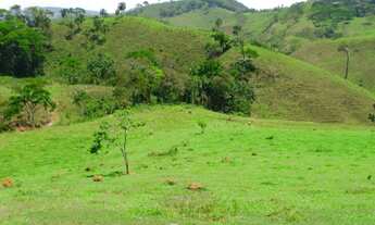 Imagem: VENDO EXCELENTE SÍTIO EM PIAU/MG (Ler a
