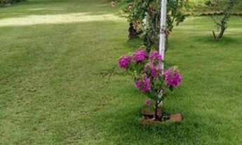 Imagem 3: VENDA Chácara com venda por R$1.200.000