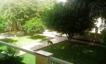 Imagem 4: Casa de 2 pavimentos em forquilhas