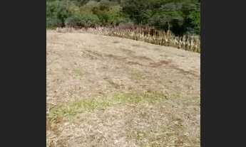 Imagem 3: Propriedade a venda