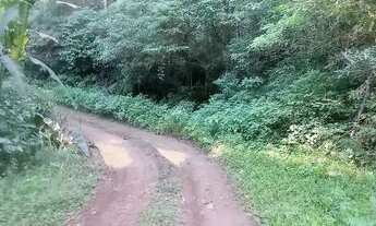 Imagem 3: Chácara 15 hectares, valor 169,800,00