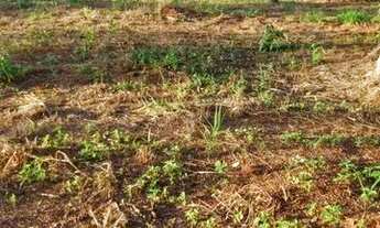 Imagem 5: Chácara Chácara com venda por R$100.000