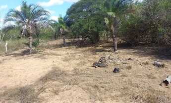 Imagem 4: VENDA Terreno / lote com venda por R$45.000