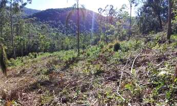 Imagem 5: Área De Terras À Venda Próximo Do Bairro Vila Olinda