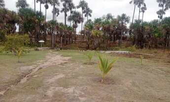 Imagem 5: Vende-se ou troca por carro com volta.pra mim