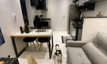 Imagem 3: GF-OPORTUNIDADE UNICA!!!