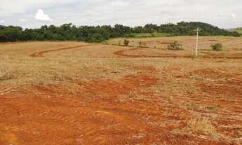 Imagem 6: Sítio com 16,41 hectares (6,78 alqueires) em Ibiporã, área de plantio, 100% mecanizado