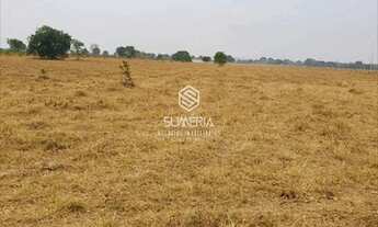 Imagem 2: Fazenda em São Felix do Araguaia com 83.346 hectares sendo 30 mil ha agricultavel codigo