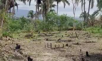 Imagem: Terreno no Distrito do Caldas