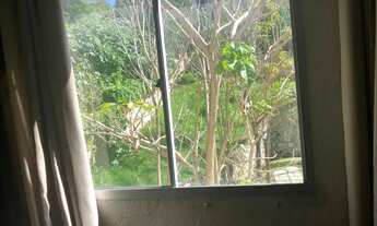 Imagem 3: Apartamento 2/4 oportunidade condomínio e água incluso, aceita animais