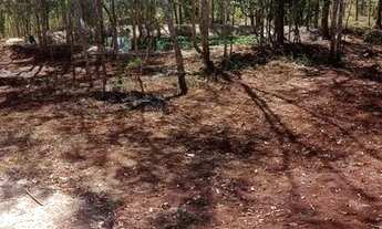 Imagem 4: Sítio no Prata/Mg