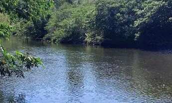 Imagem 7: Sitio 7.000 m², 2 casas, área externa com paiol, pomar, terreno fértil, margem rio cipó