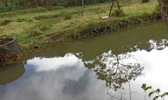 Imagem 7: Chácara em MOINHO com 2 quarto(s) , 20 vaga(s)