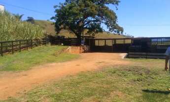 Imagem 4: Venda-se este sítio de 1 Alqueire escriturado no Município de Cachoeiro de Itapemirim/ES