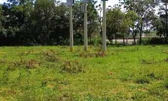 Imagem 4: Fazenda / Sítios / Chácaras à venda em Felixlândia