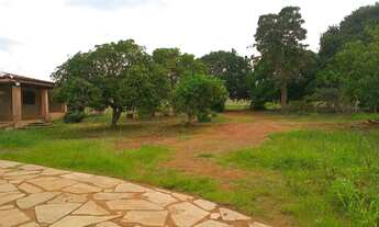 Imagem 6: Vendo chácaras na região do Riacho Fundo