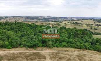 Imagem 5: Fazenda 20 alqueires (96,8 hectares) Itauçu - Go
