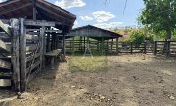 Imagem: Fazenda de 30 alq em Cedrolina-GO