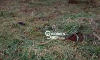 Imagem 5: Terreno Comercial ou Residencial à Venda ou Locação Estrada da Capela