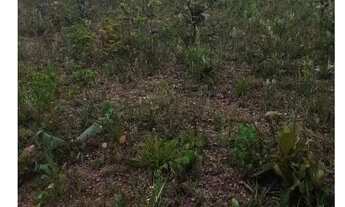 Imagem: Chácara Área Rural Terreno Rural RAJADINHA