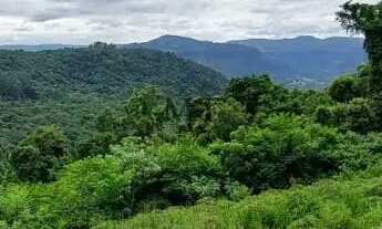 Imagem 3: Área de terra bairro Scheiblin, Linha Nova.RS Ref.:157