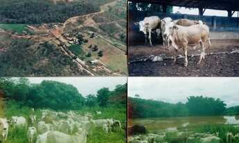 Imagem: Ótima fazenda à venda em Salinas, MG