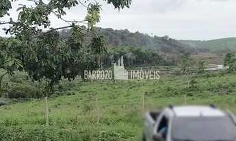 Imagem 7: Barrozo Imóveis - Fazenda a venda com 49.9 ha (10.3 alq) em Araruama - 70% plana