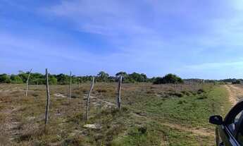 Imagem 5: Vendo terreno no caminho da praia do saco