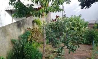 Imagem 4: Casa em Americana