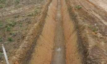 Imagem 2: Fazenda à venda, em Lucas do Rio Verde - 1004 Há R$ 112.500.000 - Zona Rural - Lucas do Ri